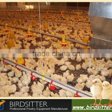 chicken feed for sale