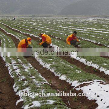 Manufacturer Pure Natural High Quality Maca Capsules photo-3