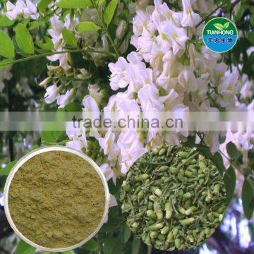 Sophora japonica Extract Isoquercitrin Rutin