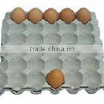 Paper Pulp Automatic Fruit Tray Production Line photo-5