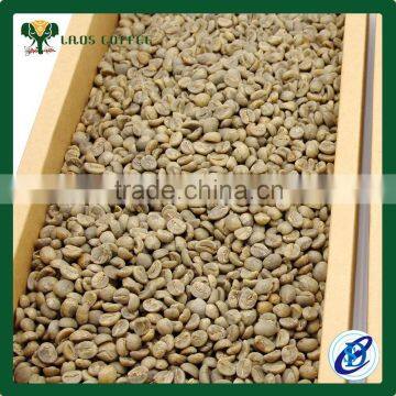 Factory price green coffee bulk green coffee beans