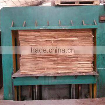 Woodworking Hydraulic cold press machine