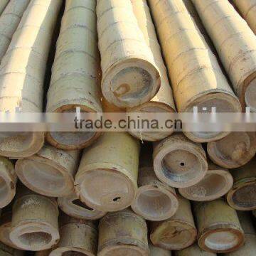 Bamboo pole Sun-010