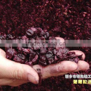 JCP-5 Grape Stemer and Crusher photo-2