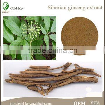 Natural Herb Siberian Ginseng Extract Powder Quality Choice photo-4
