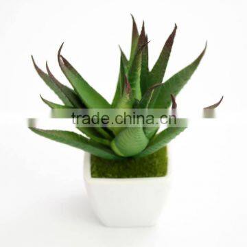 China Factory Wholesale Artificial green plants artificial cactus plants for sale with cheap price