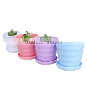 Colorful succulent plants plastic flowerpot seeding pot gardener                        
                                                Quality Choice