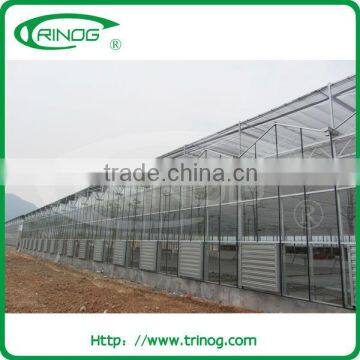 commercial glass greenhouse