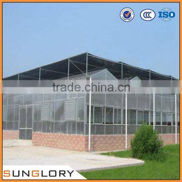 Glass Greenhouse Panel , Greenhouse Glass Price