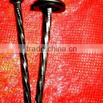 120mm Galvanized Roofing Nail photo-5