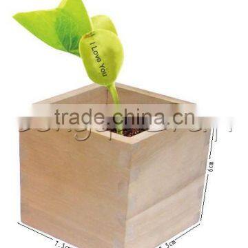 Promotional Gift Message Bean With Wooden Box, Make Magic Beans photo-5
