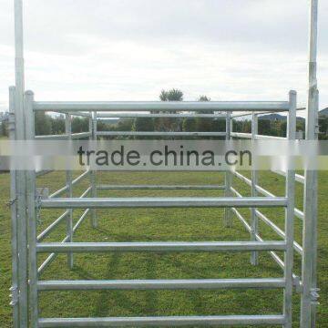 Cattle panels and gates