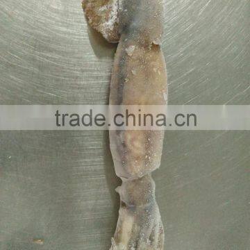 Illex Squid W/R photo-5