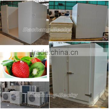 Cold storage room price for fruit chill room