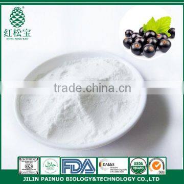 GMP Manufacturer Food Grade Organic Black Currant Seed Oil Powder