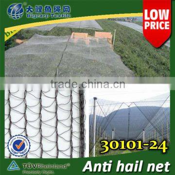 24gsm HDPE vineyard Hail protection net