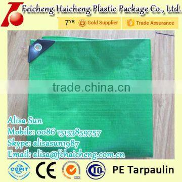 Waterpfoof PE Tarp/Tarpaulin Cover