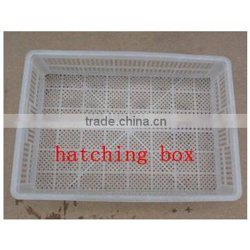 incubator egg plastic hatchery box/hatchery basket