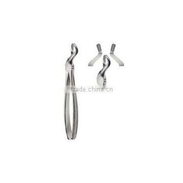 Dental Extraction Forceps photo-3