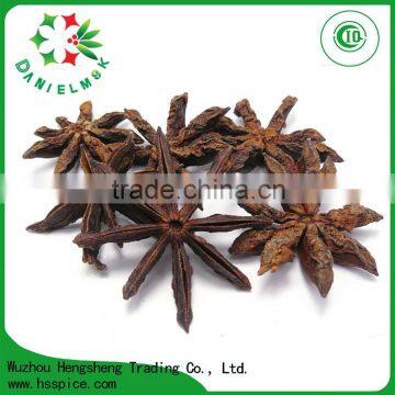 Autumn Top Quliaty Crop Star Aniseed Whole