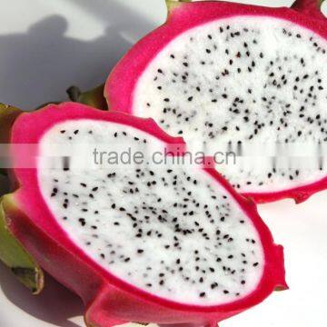 WHITE FLESH DRAGON FRUIT