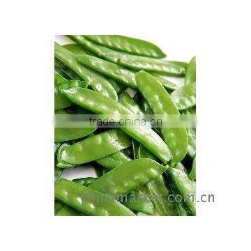 2011 the Latest Frozen Green Bean