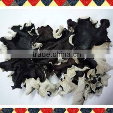 Dried White back black fungus