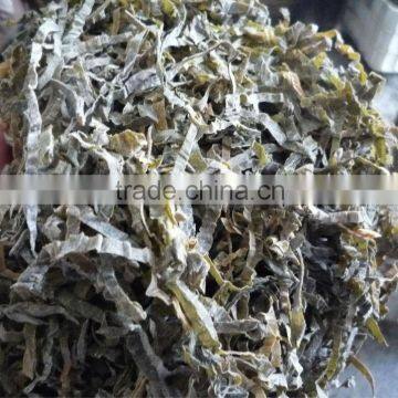 Sun dried seaweed laminaria shredded