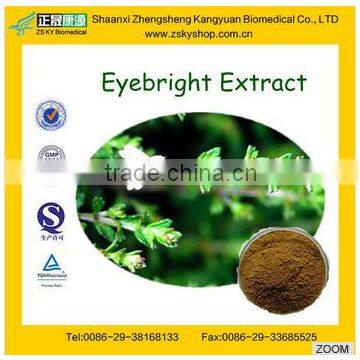 GMP manufacturer supply 100% Pure Eyebright Powder for Eye Health