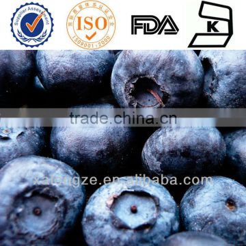 100% herb medicine 25% anthocyanidins European Bilberry Extract