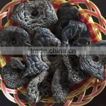 Sarcodon Imbricatus photo-2