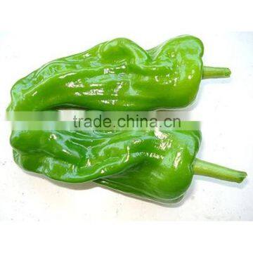 2016 New high quality super big fruit high yield indeterminate green pepper seeds