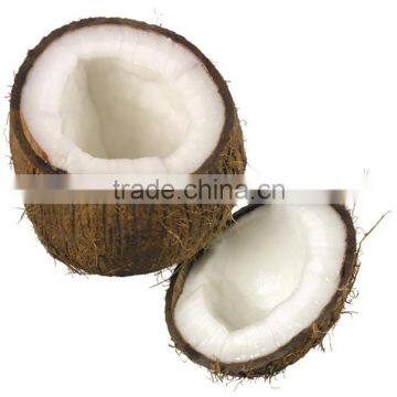 Cocount Oil Crude Extact Handmade Soap 50g