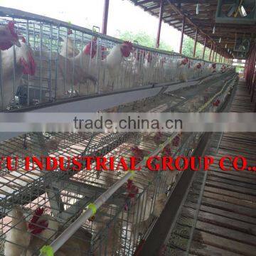 TAIYU Broiler Poultry House designed for you freely