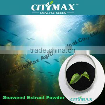 HOT!!! seaweed extract powder from ascophyllum nodosum source