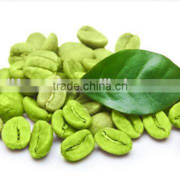 Beauty Products Function and Herbal Supplements Type green coffee bean extract