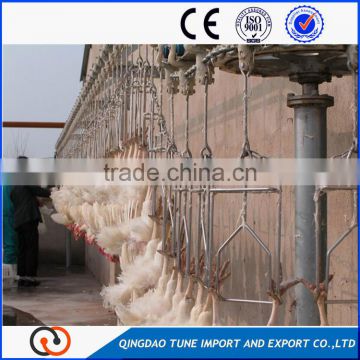 Good used automatic chicken slaughter house