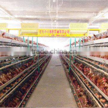 layer poultry cages for nigeria/africa