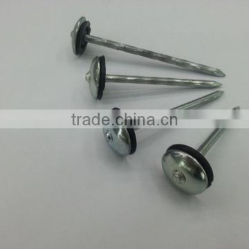 square head roofing nail