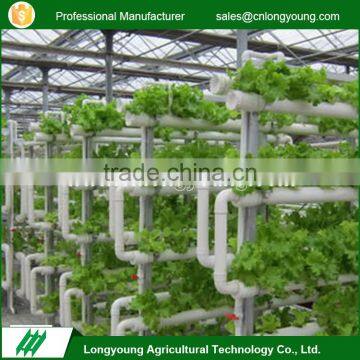 Commercial greenhouses structure with hydroponic system