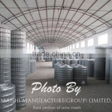 PVC Coated Welded Wire Mesh photo-5