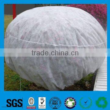 Guangzhou pp nonwoven fabric ground cover for agriculture,agricultural plastic ground cover