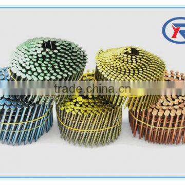 China High Quality Galvanized Coil Roofing Nails photo-6