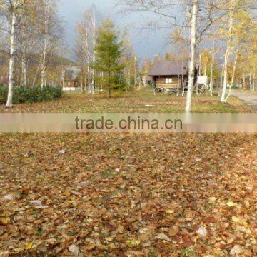 Real estate in Japan , Hokkaido , forest land