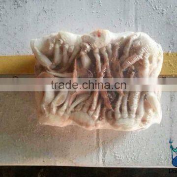 Frozen Sand Crab(Ovalipes Punctatus) 2017 New Landing photo-3