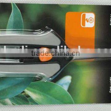 Colorful Handle Mini Stainless Steel Blade Grape Scissors Garden Pruning Shear photo-4