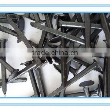 Cheaper Price Shoe Nail,factory Product photo-2