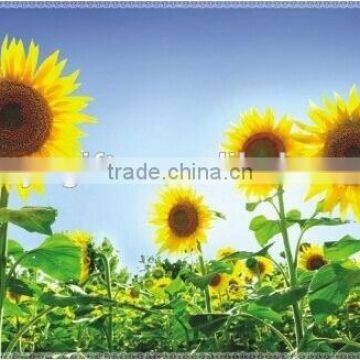 Fashion Decorative Wall Sticker , Kitchen Aluminum Foil Oil Stickers,TV Setting Post photo-4