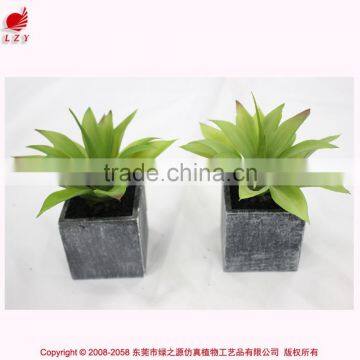 Wholesale Mini Succulent Potted Artificial Mini Aloe Green Aloe Artificial Plant photo-5