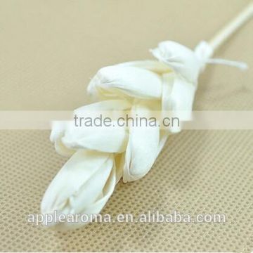 Bamboo Shoot Sola Flower Aroma Diffuser with reed or cotton rope